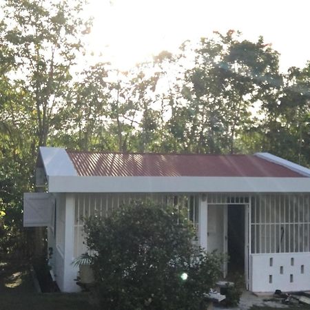 Le Belleplaine Le Gosier (Grande-Terre) Quarto foto