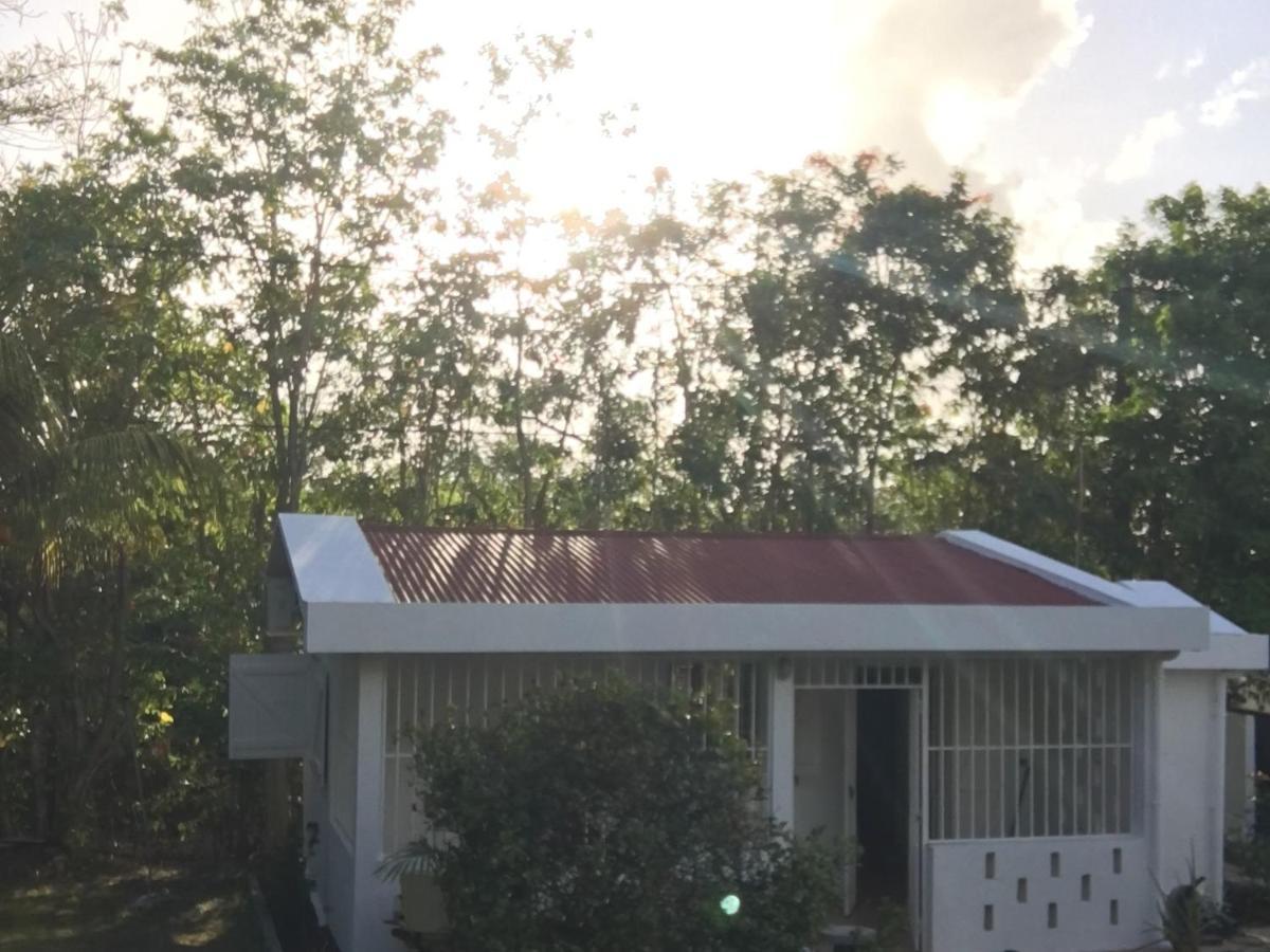 Le Belleplaine Le Gosier (Grande-Terre) Exterior foto
